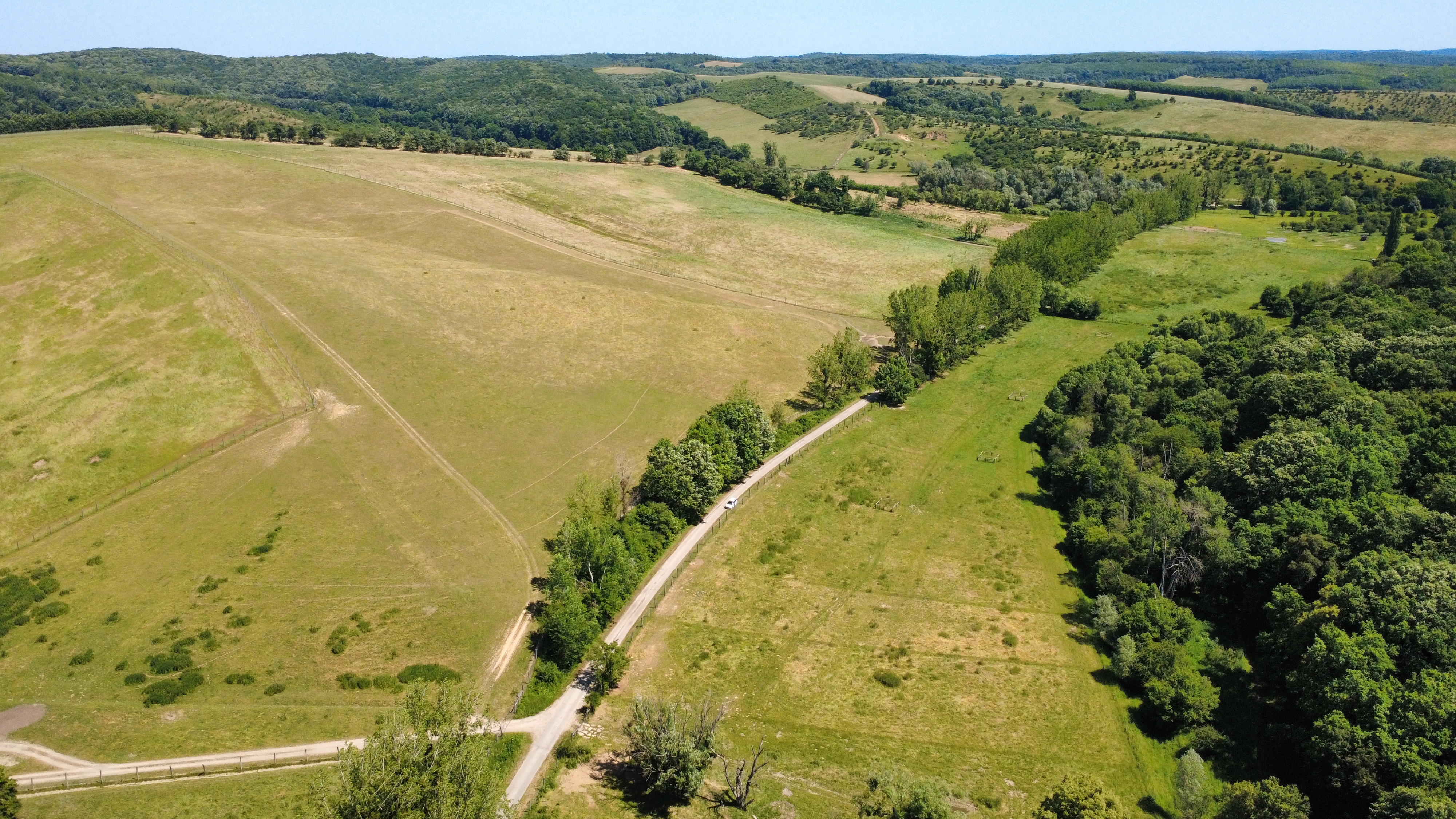 Drone photo of grazing land at a REAGRY pilot site