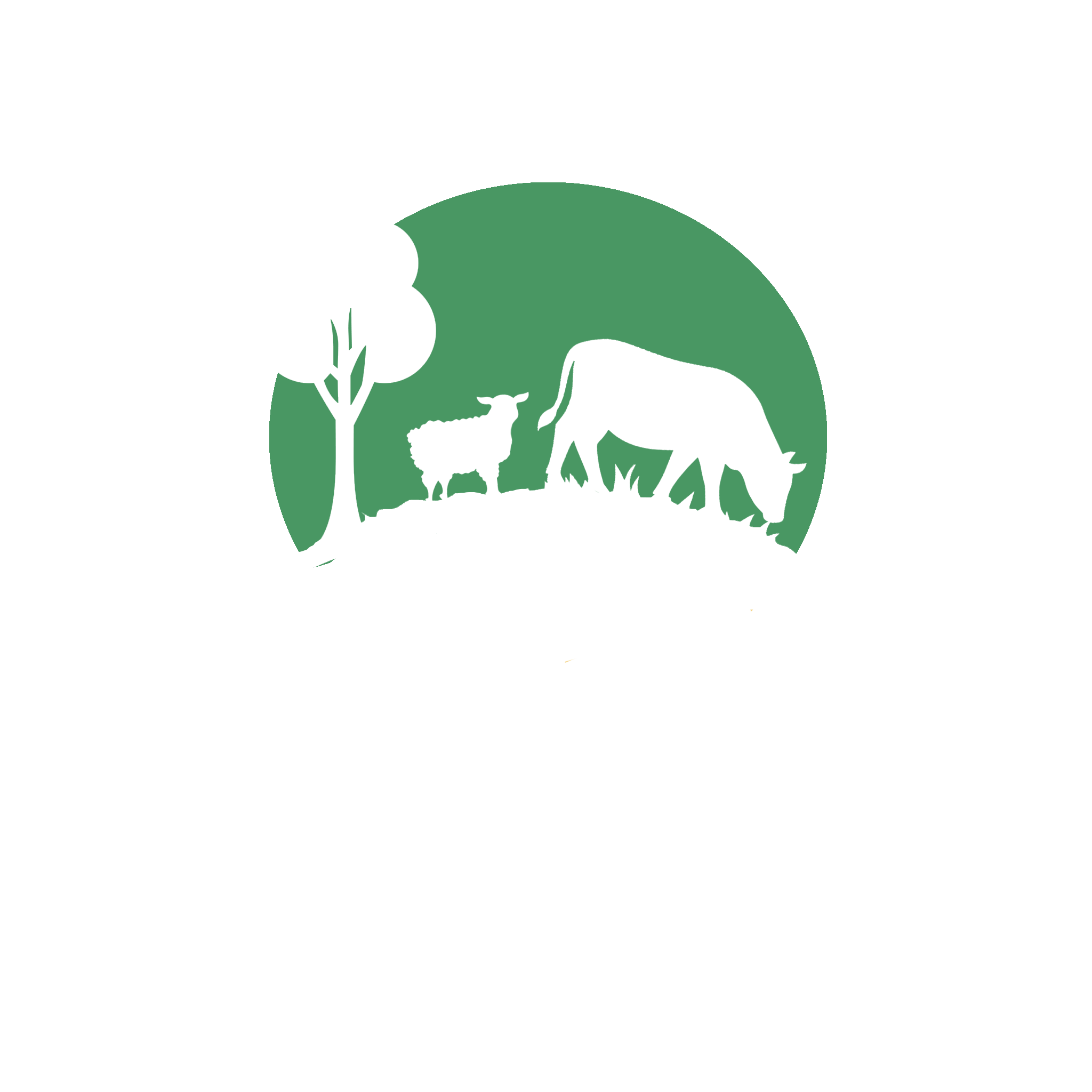 REAGRY
